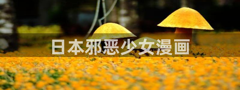 汗汗漫画家教老师