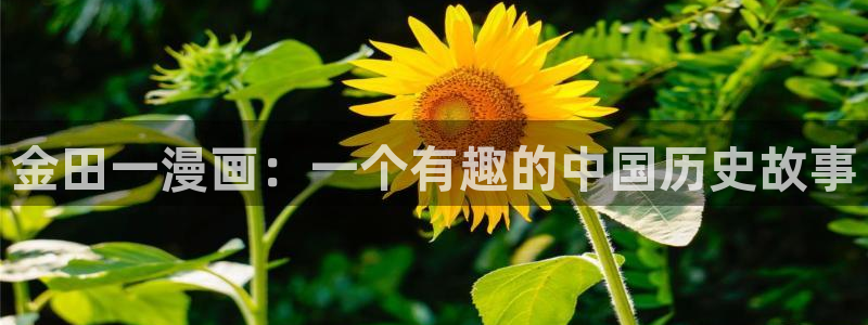 汗汗漫画秘密教学