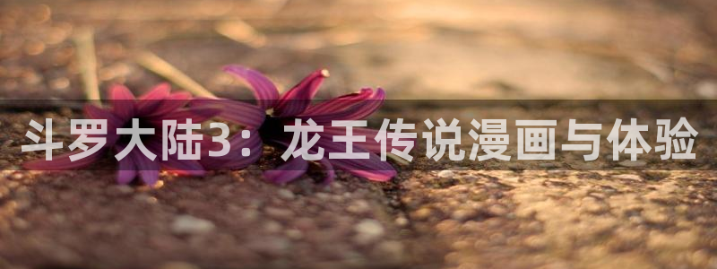 韩国汗汗漫画免费
