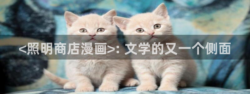 歪歪汗汗漫画网站