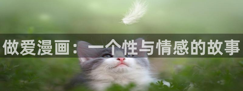 汗汗漫画秘密教学