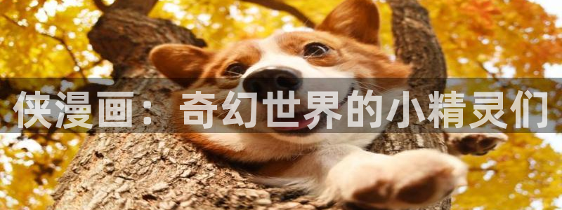 汗汗漫画首页登录免费入口