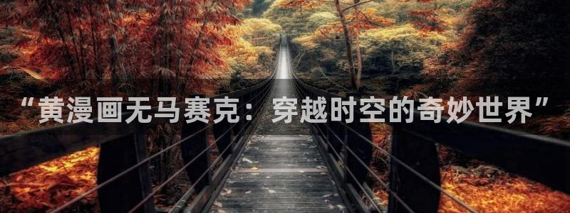 汗汗漫画看不了了